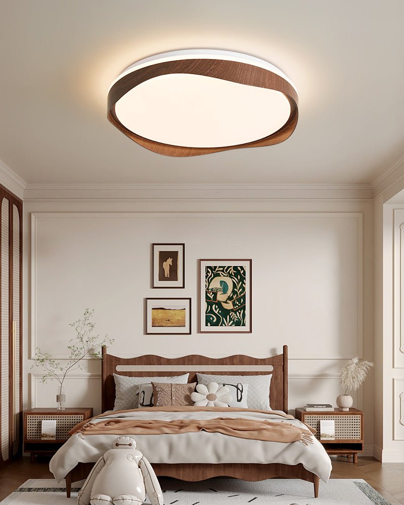 Norelella Loop Ceiling Light