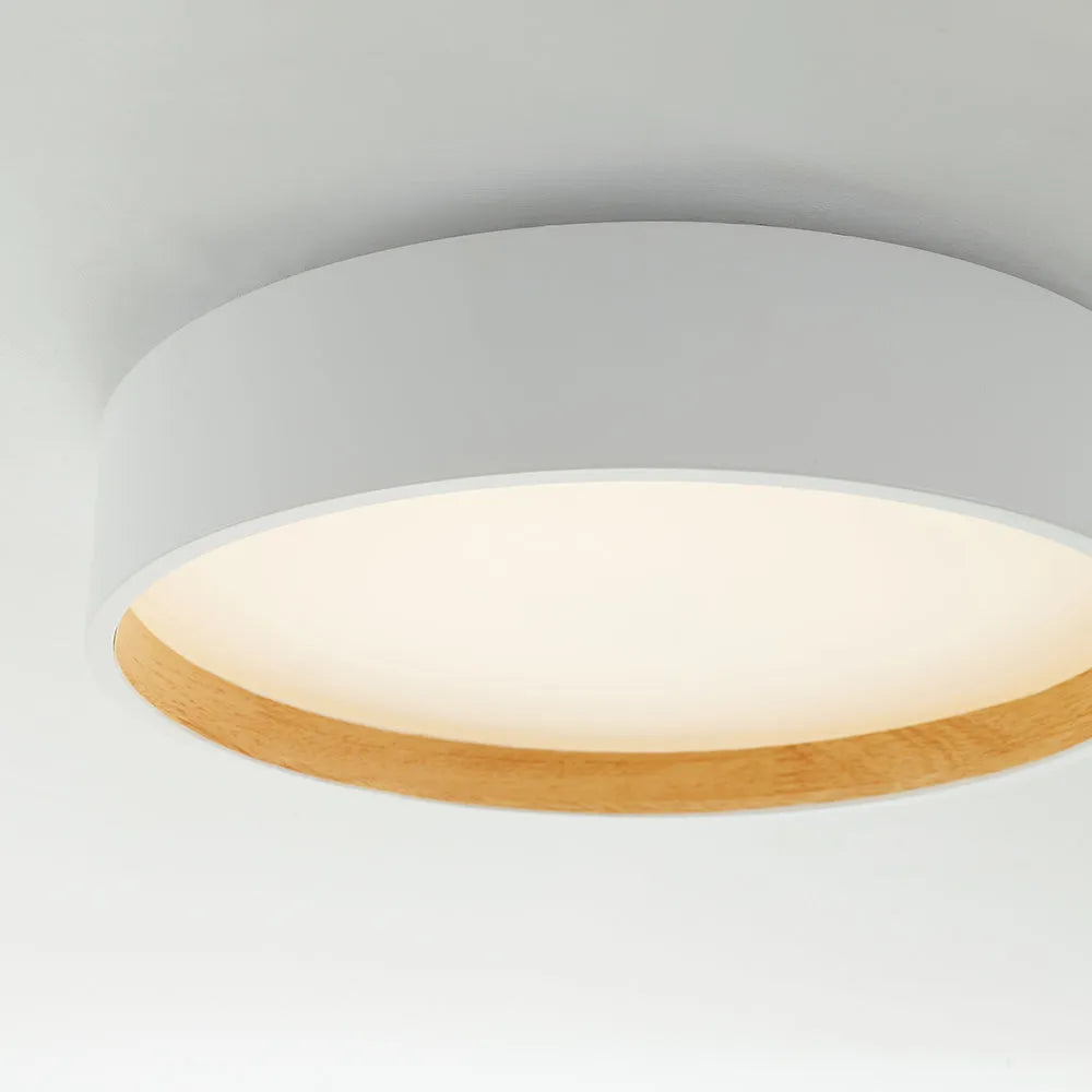 Vexa Ceiling Light-Relic Pieces