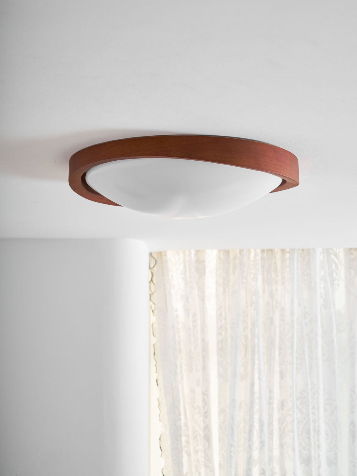 Sylvian Ceiling Light