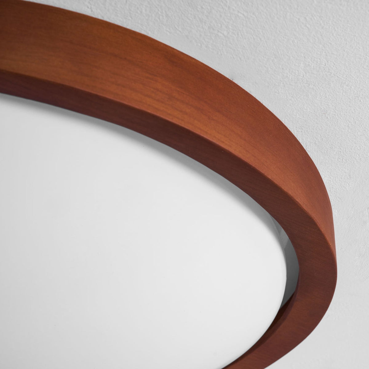 Sylvian Ceiling Light