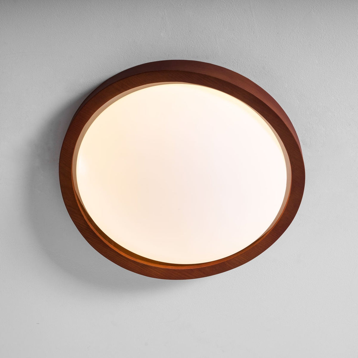 Sylvian Ceiling Light
