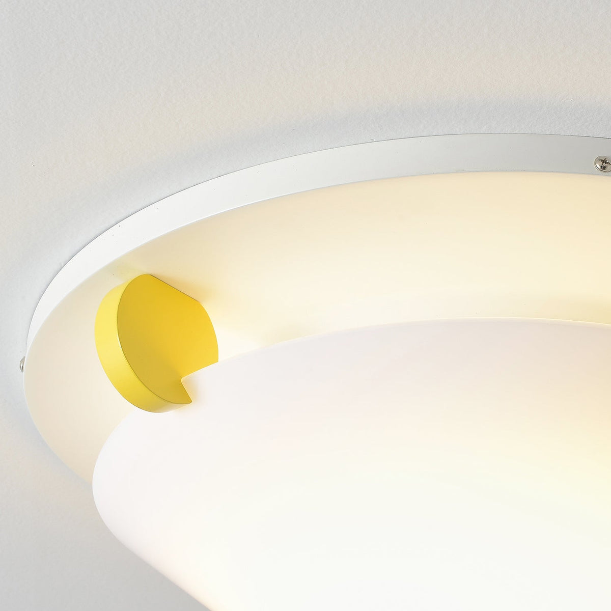 Noreleon Ceiling Light