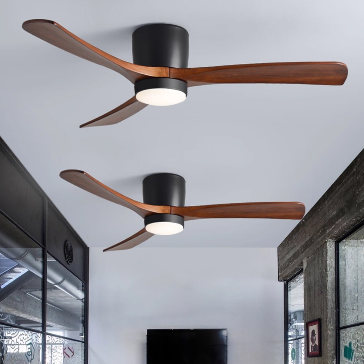 Elaerine Ceiling Fan Light