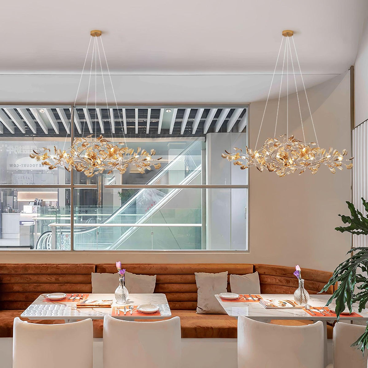 Pinerus Ginkgo Chandeliers