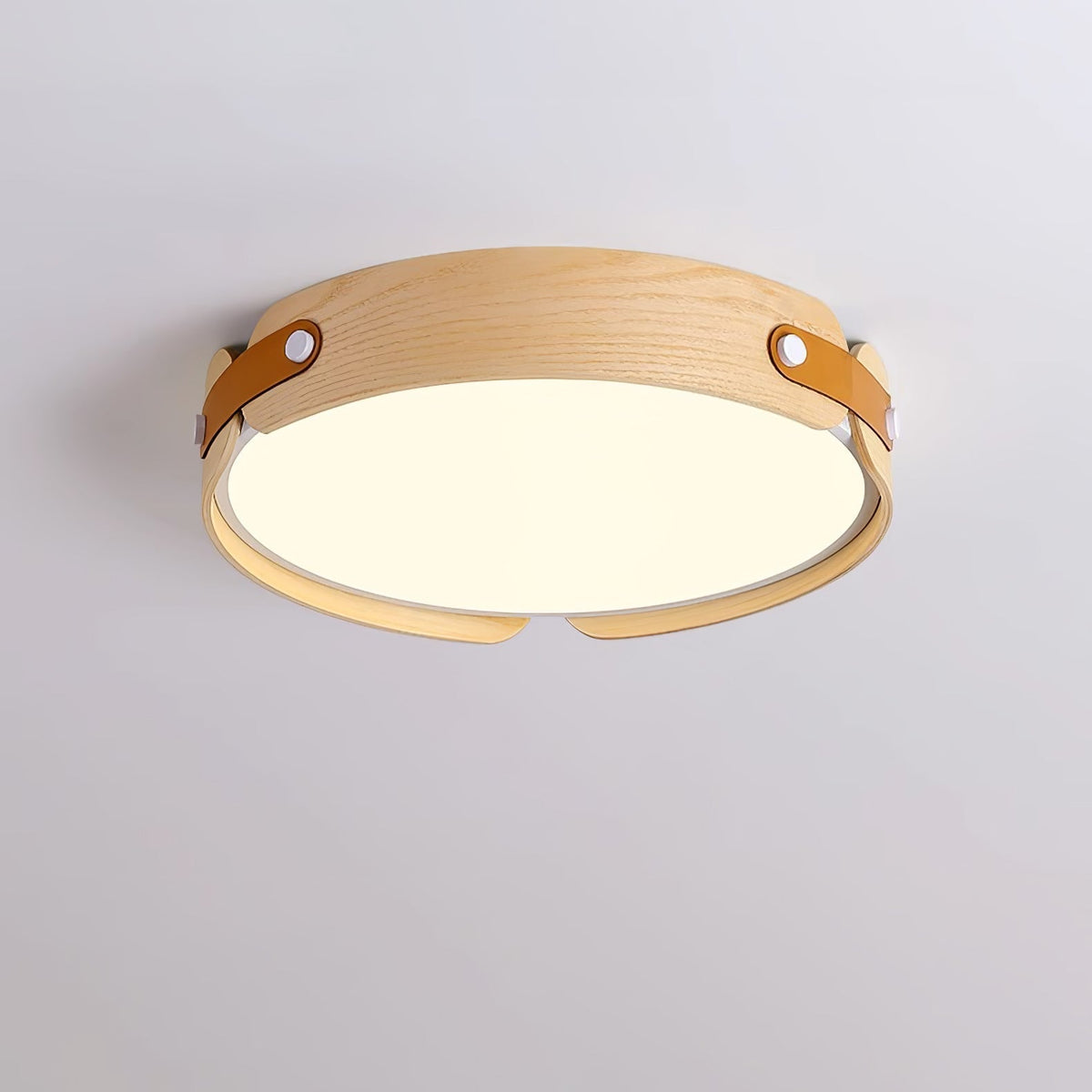 Edan Modern Minimalist Wood Ceiling Light
