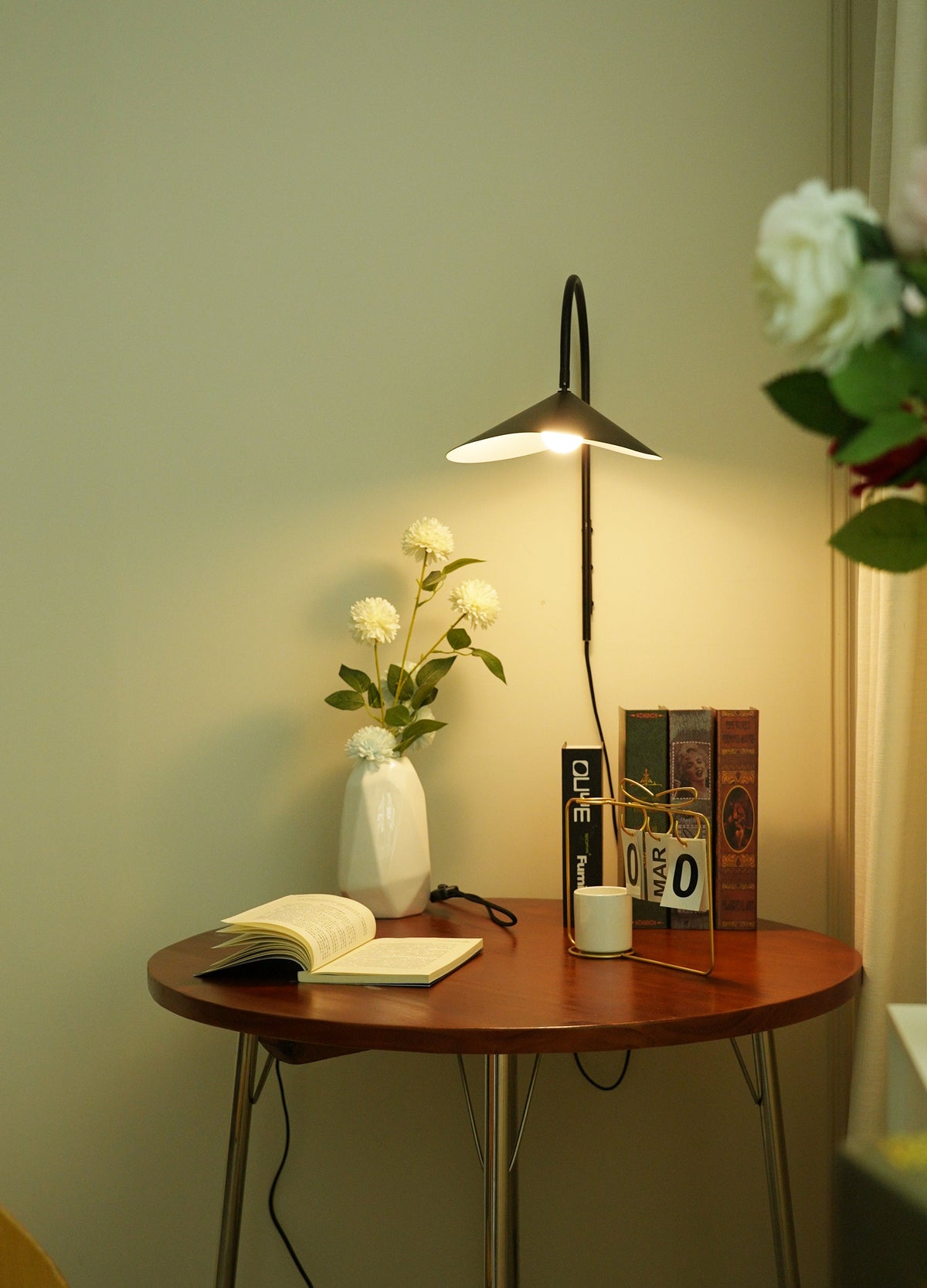 Alocasia Arc Plug-in Wall Lamp