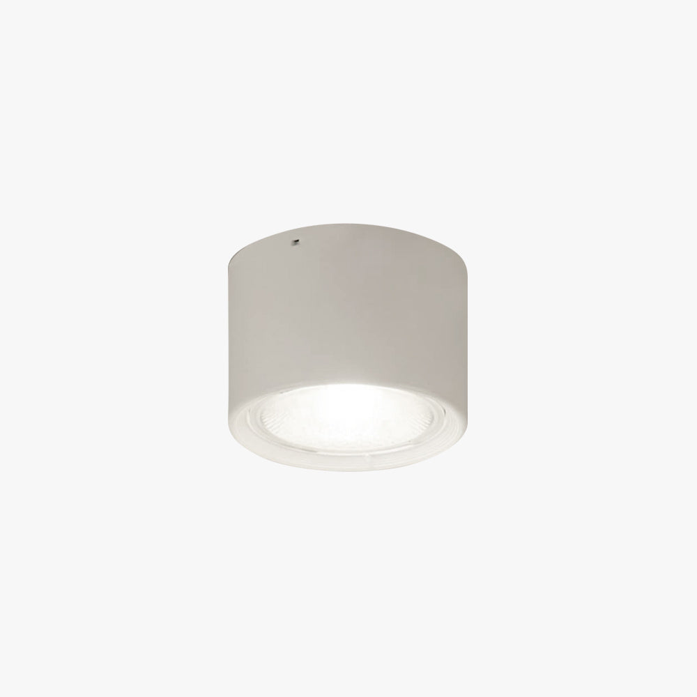 Mebokore Modern Round Flush Mount Ceiling Light, Wood/Black, Living Room