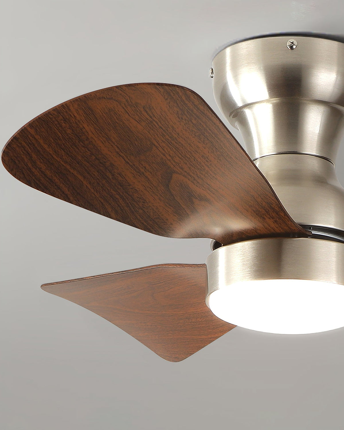 Sterling Ceiling Fan Light