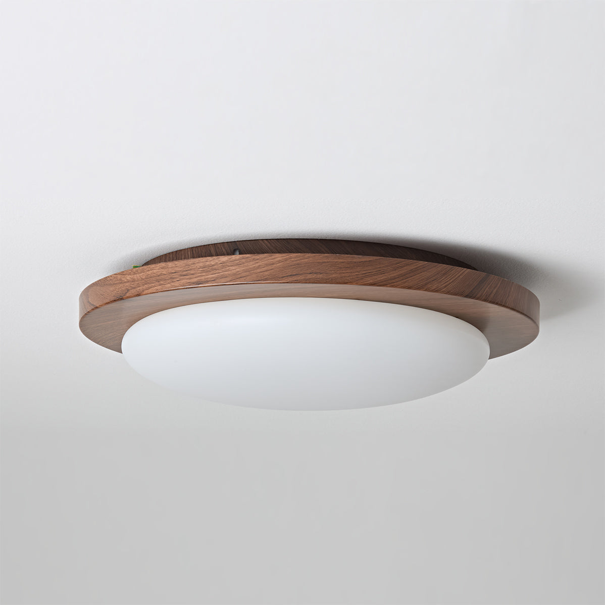 Rivorella Ceiling Light