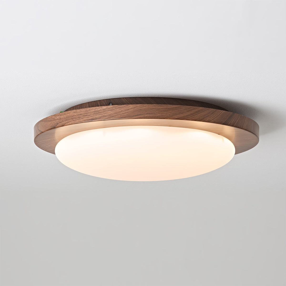 Rivorella Ceiling Light