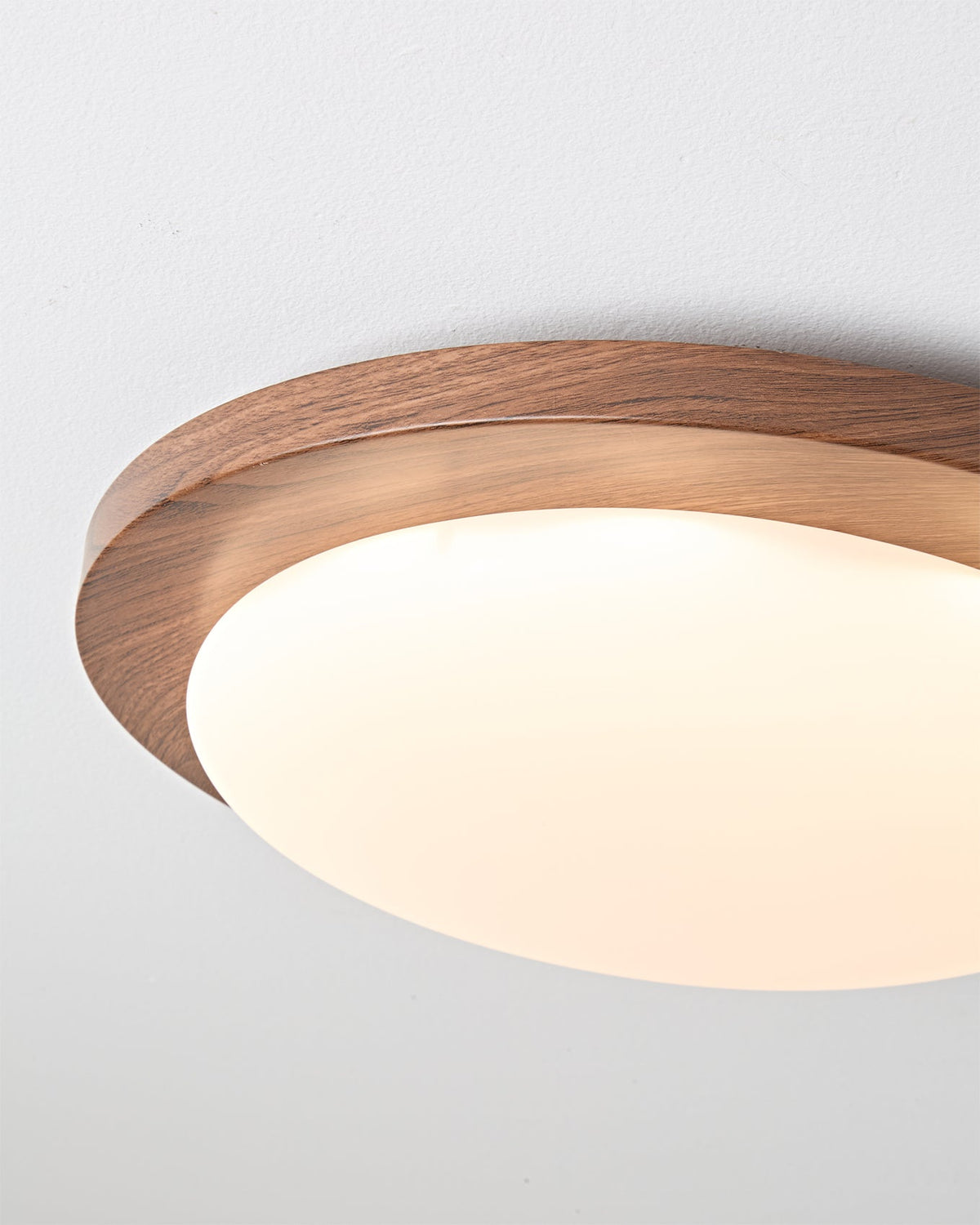 Rivorella Ceiling Light