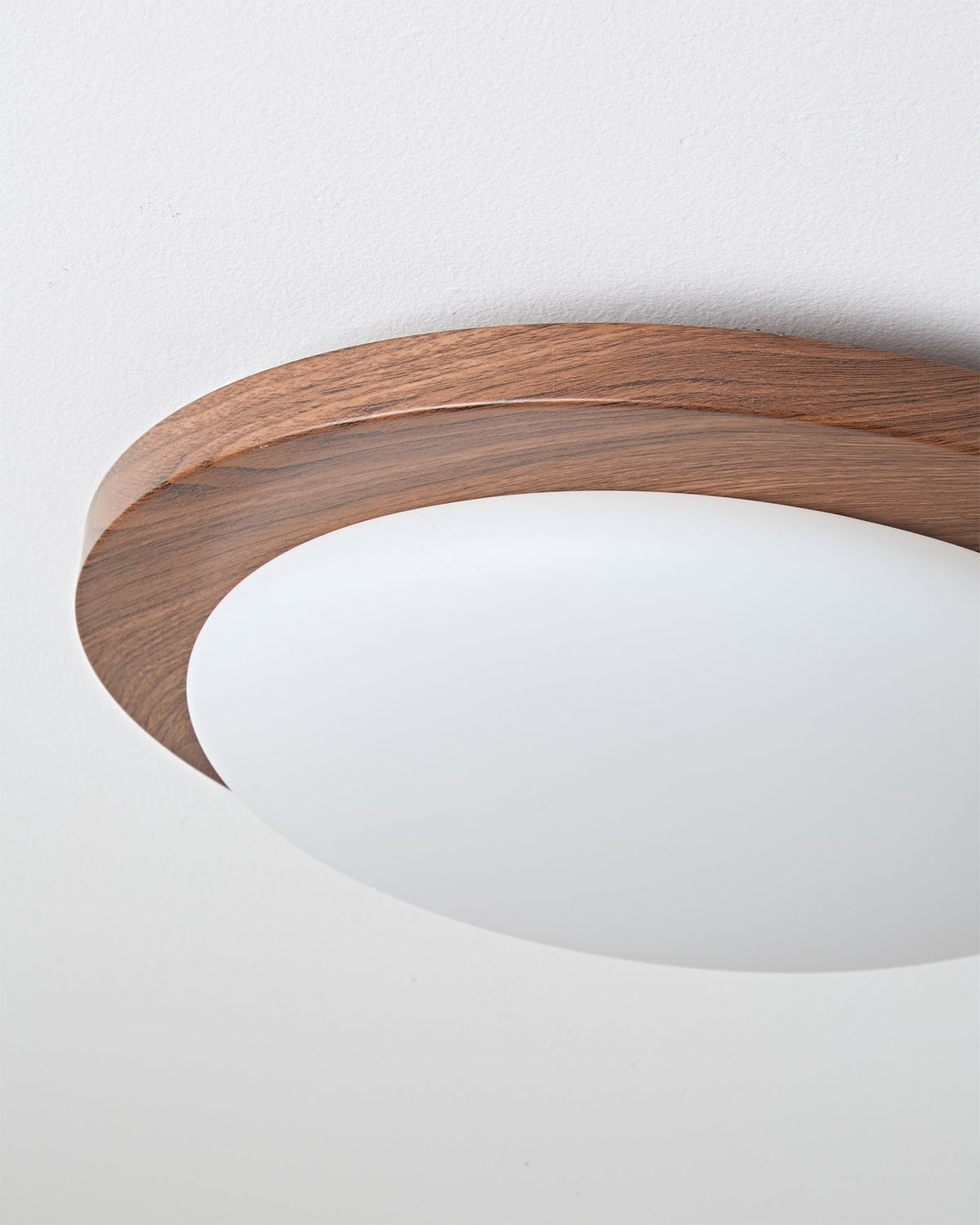 Rivorella Ceiling Light