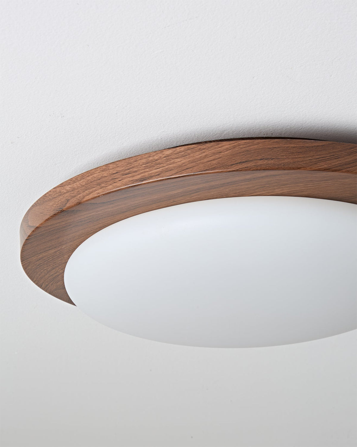 Rivorella Ceiling Light