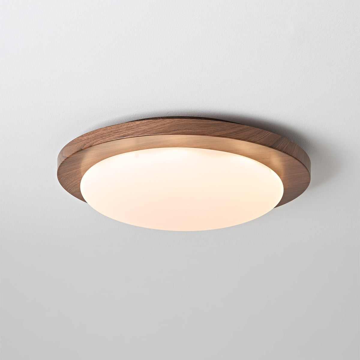 Rivorella Ceiling Light
