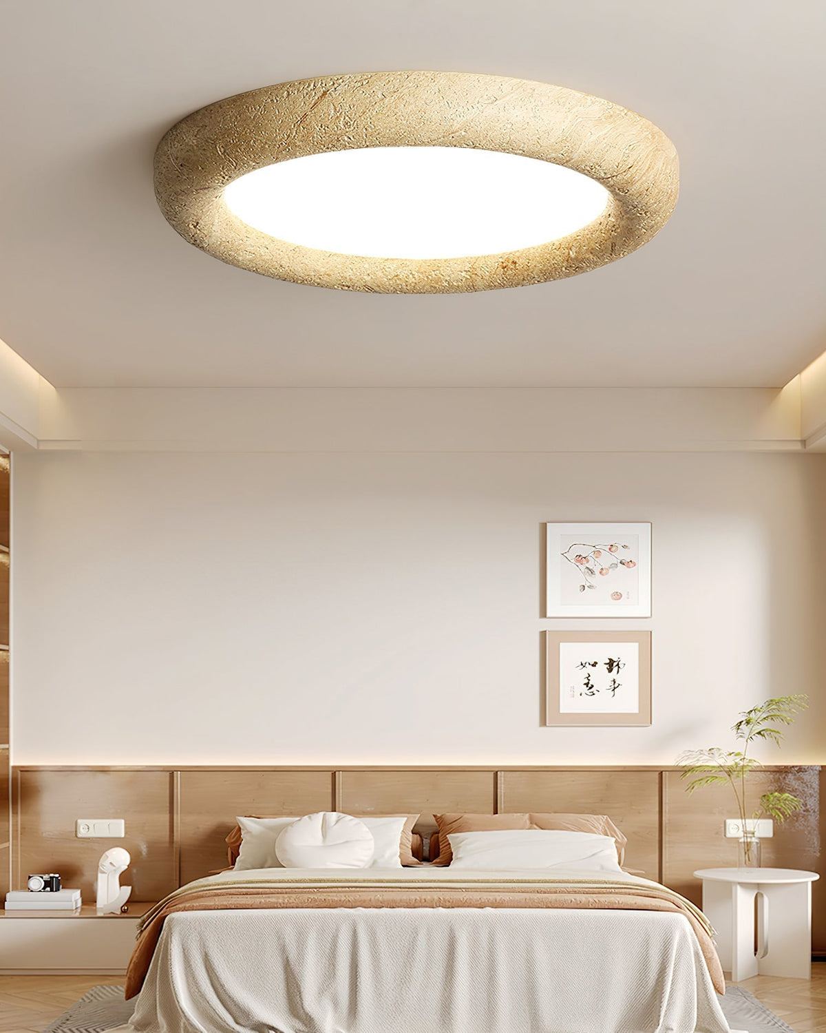 Soruise Ceiling Light