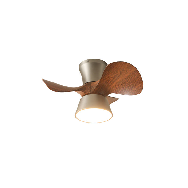 Caluelle Ceiling Fan Light