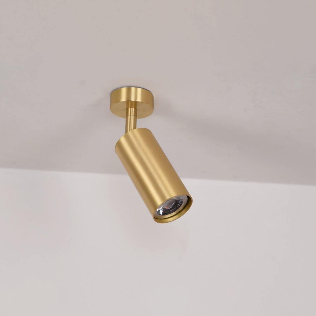 Elaivora Spotlight Wall Light