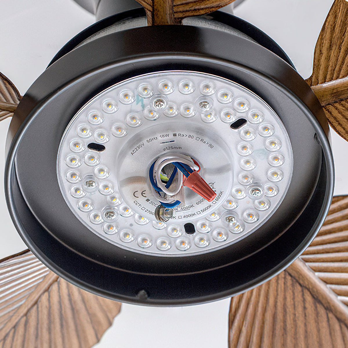 Paloma Ceiling Fan Light