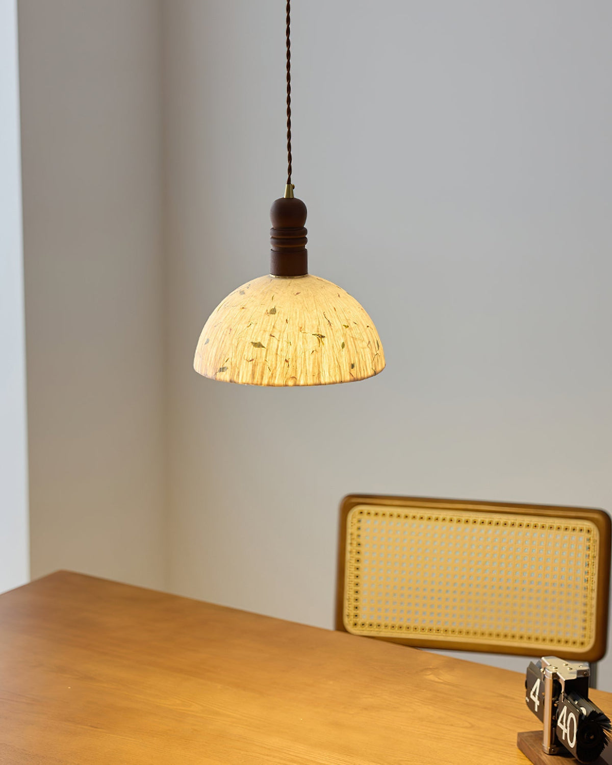 Veloiella Pendant Light