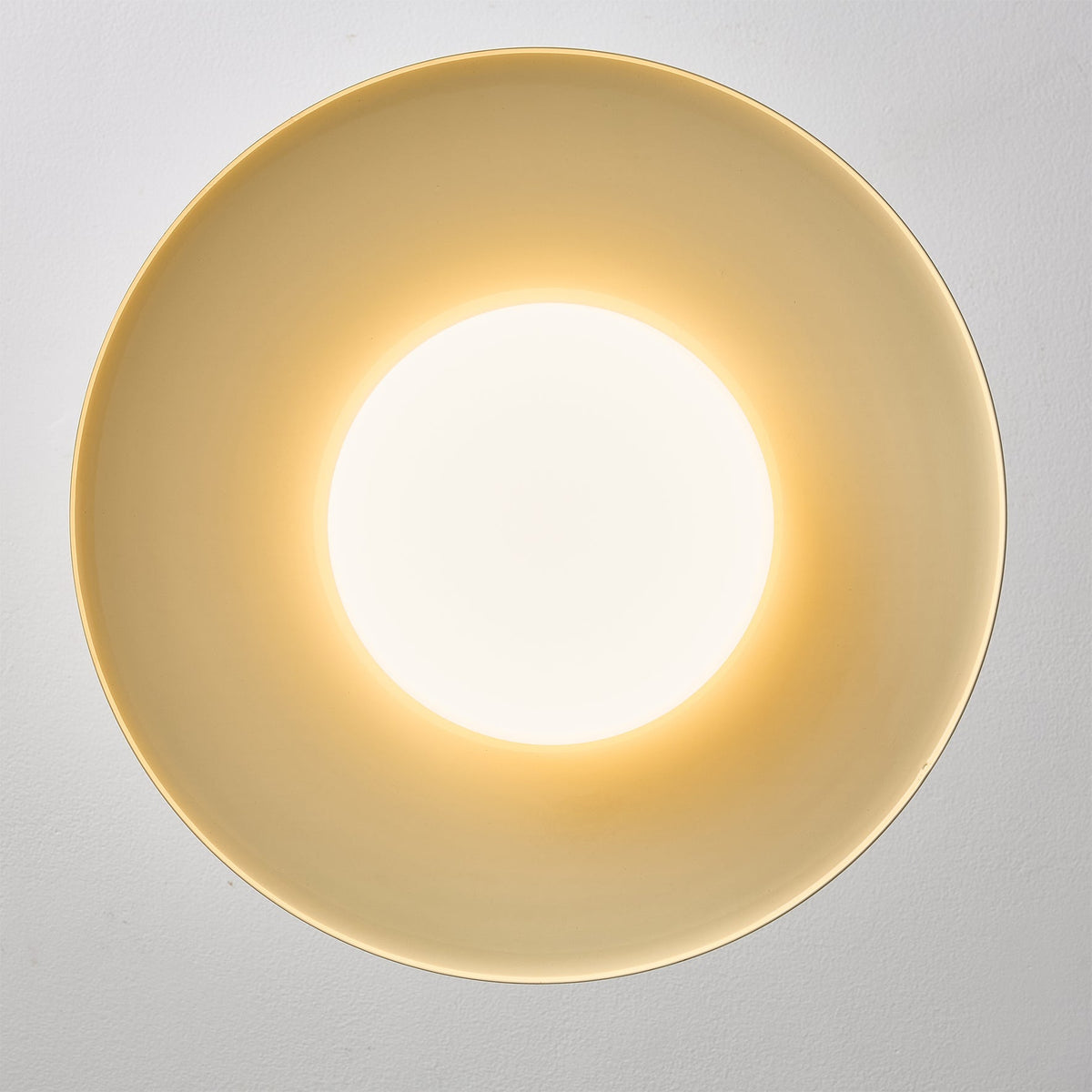 Viraaraya Pendant Light