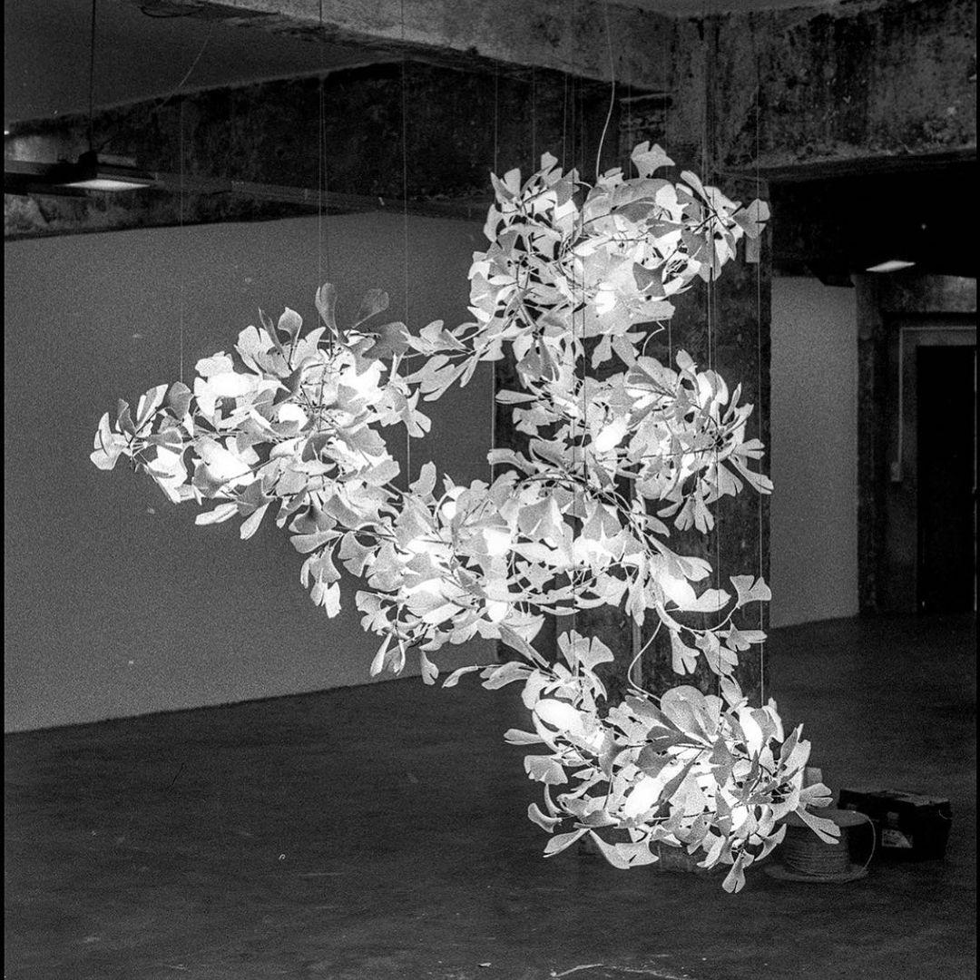 Elauira Chandelier