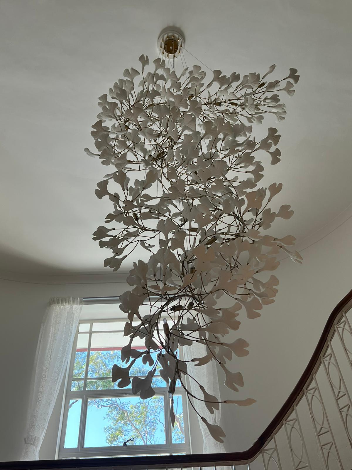 Elauira Chandelier