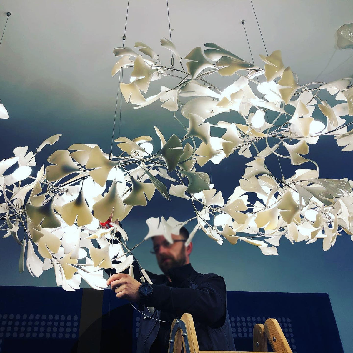 Terienissa Chandelier