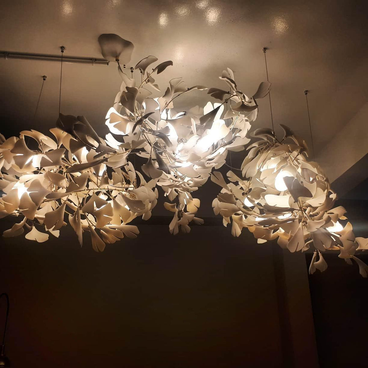 Thalorienne Gingko Chandelier