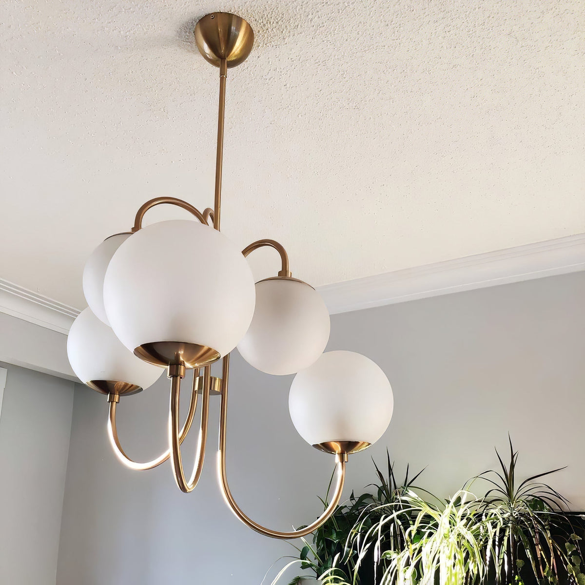 Auruaria Chandelier Brass Globe Cluster Curved Arm