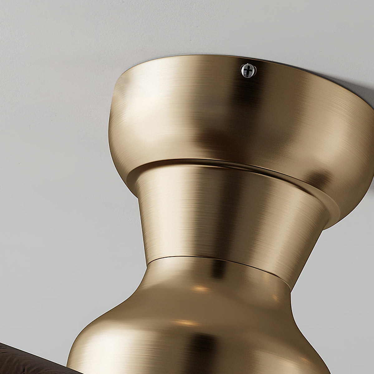Aerivo Ceiling Fan Light