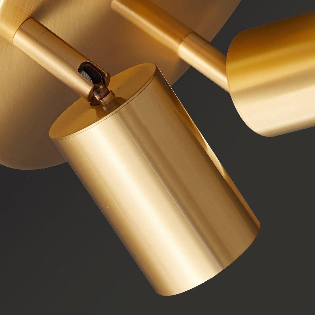 Quin Ceiling Lamp Cylinder Adjustable Contemporary