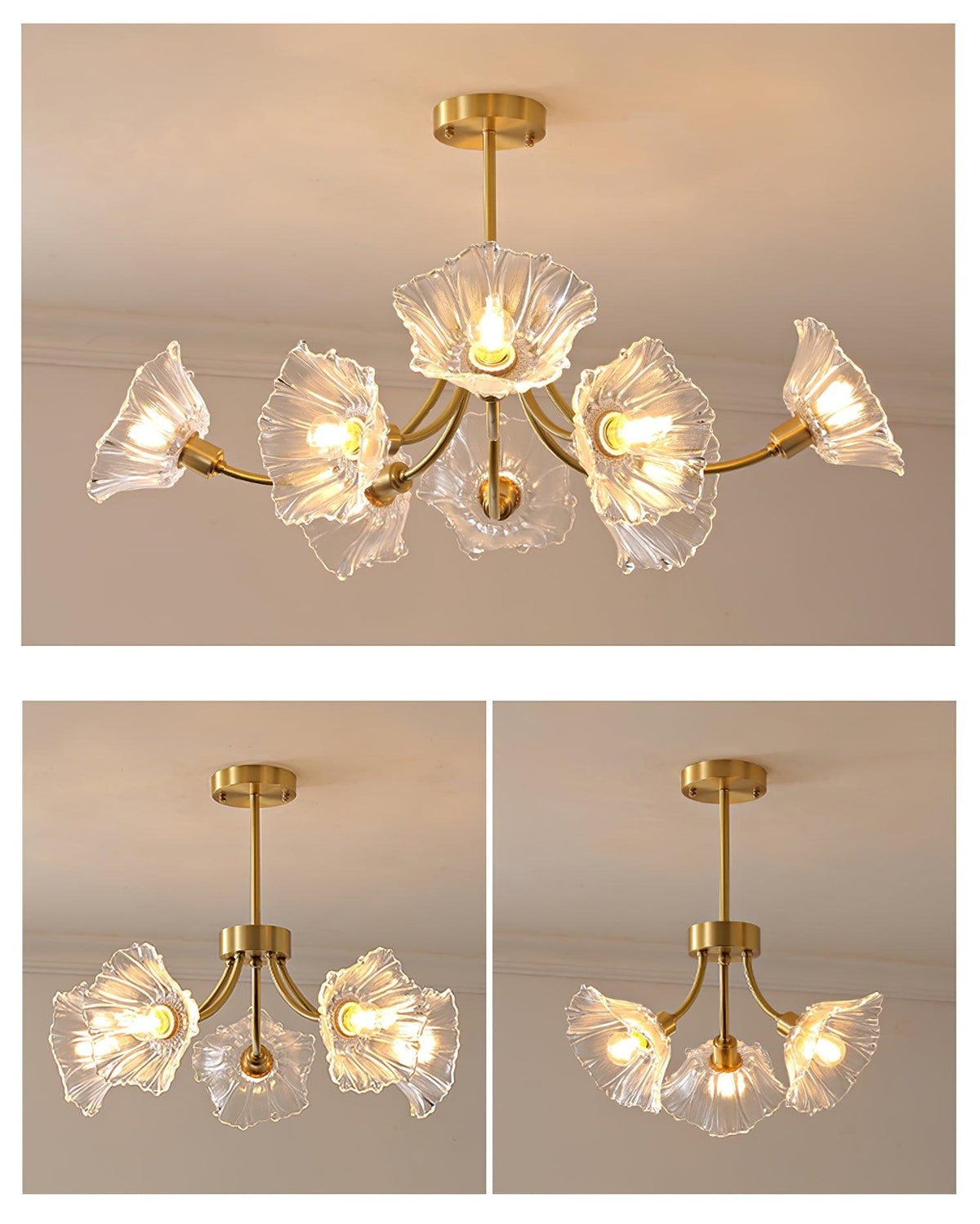 Fife Chandelier Flower Glass with Brass Finish