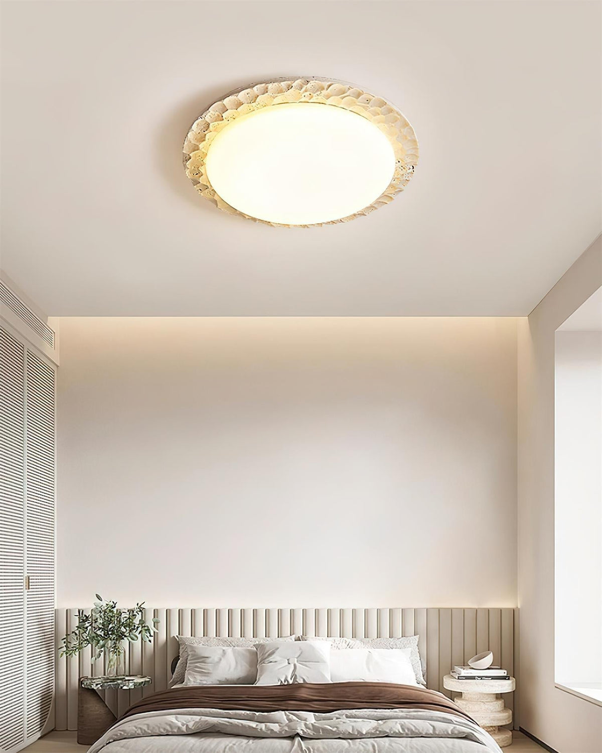 Viraeena Ceiling Light
