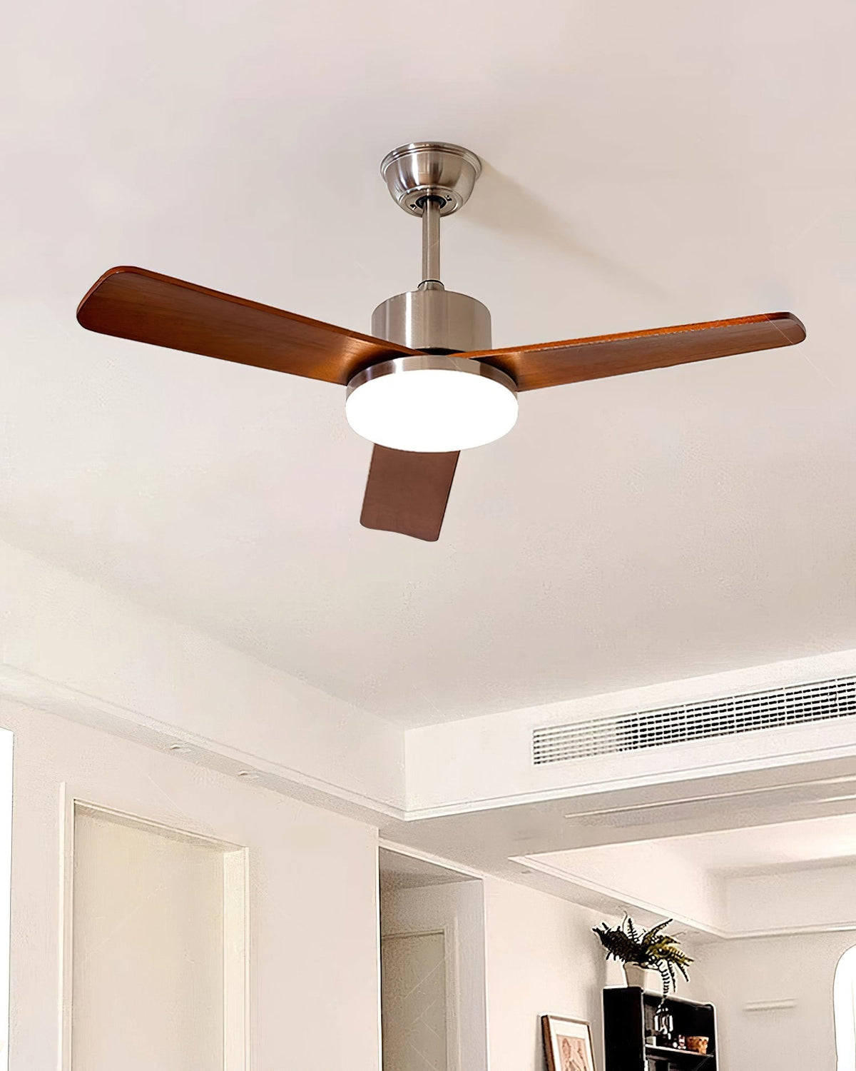 Mireaine Ceiling Fan Light