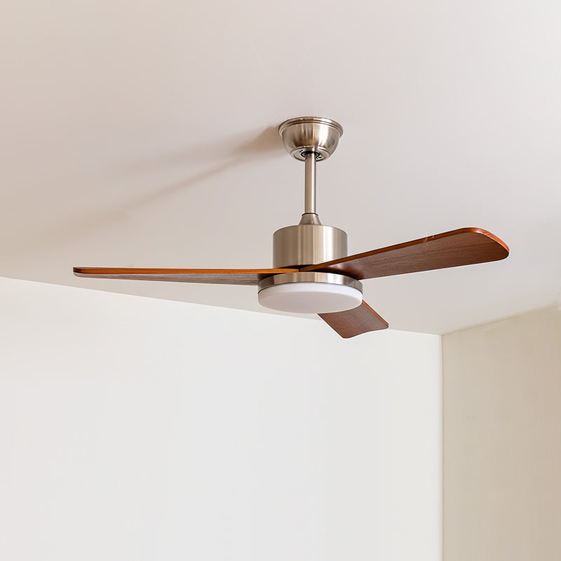 Mireaine Ceiling Fan Light