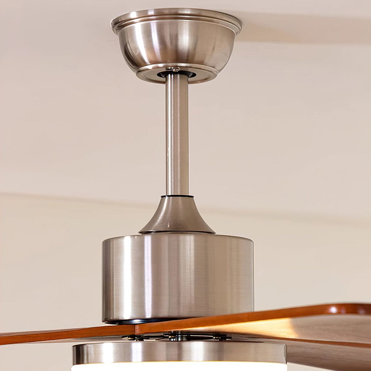 Mireaine Ceiling Fan Light