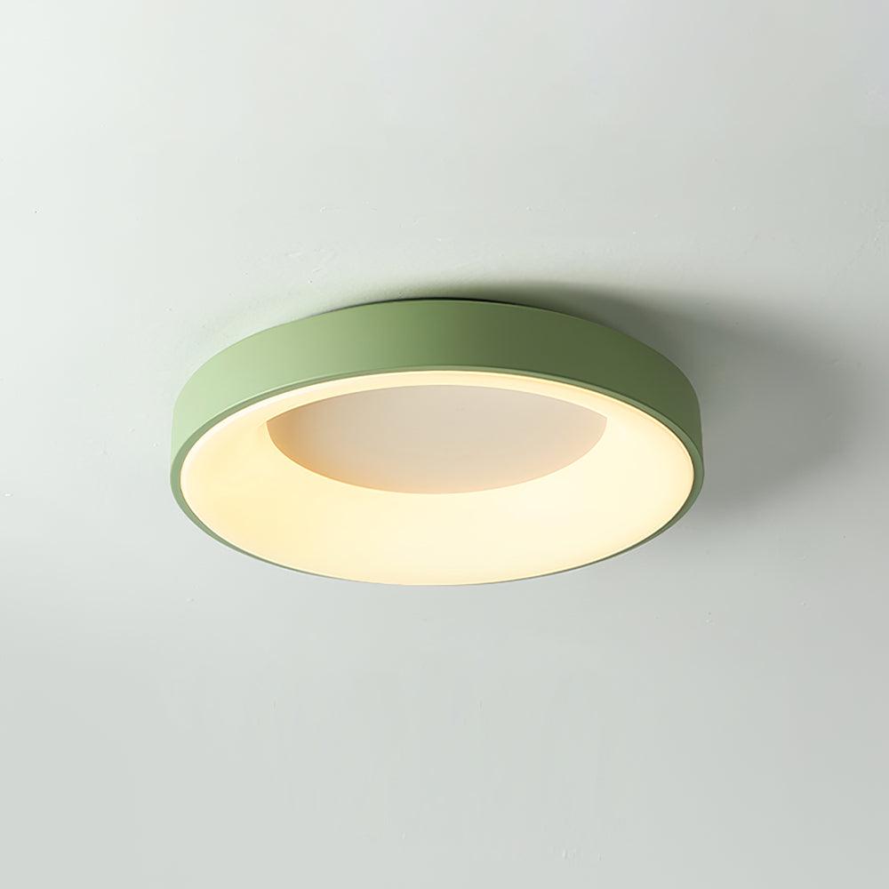 Jareth Ceiling Light Iron Contemporary Green Shade