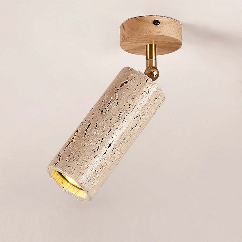 Lumaleon Ceiling Light
