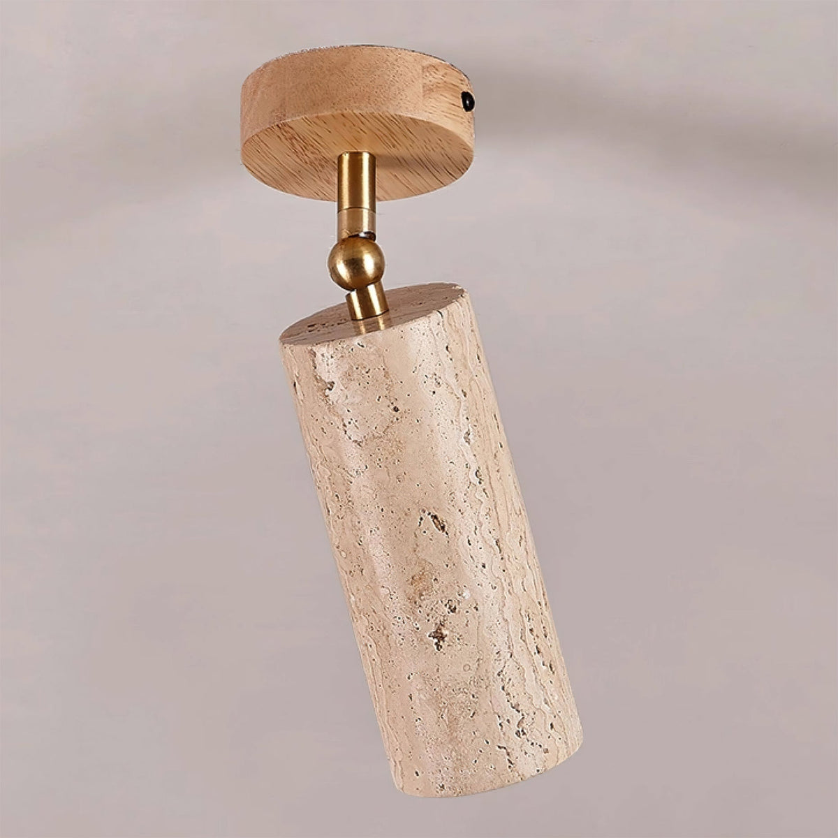 Lumaleon Ceiling Light
