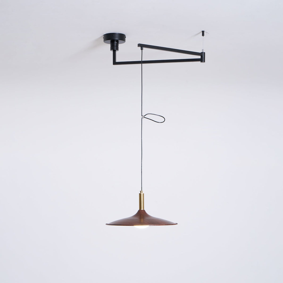Renalora Crane Swing Arm Pendant Lamp