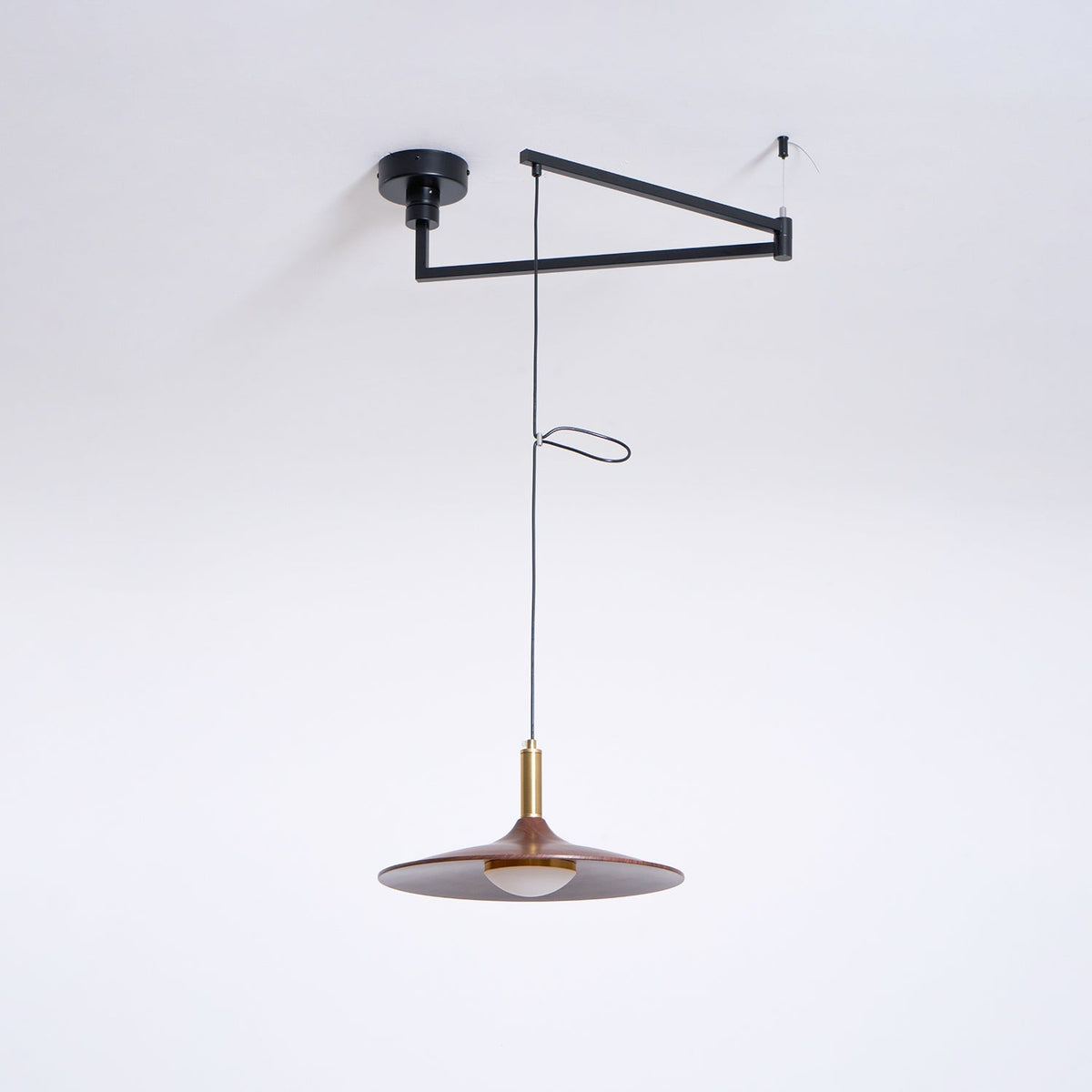 Renalora Crane Swing Arm Pendant Lamp