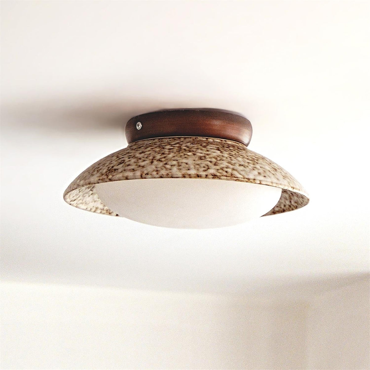 Liorenian Ceiling Lamp