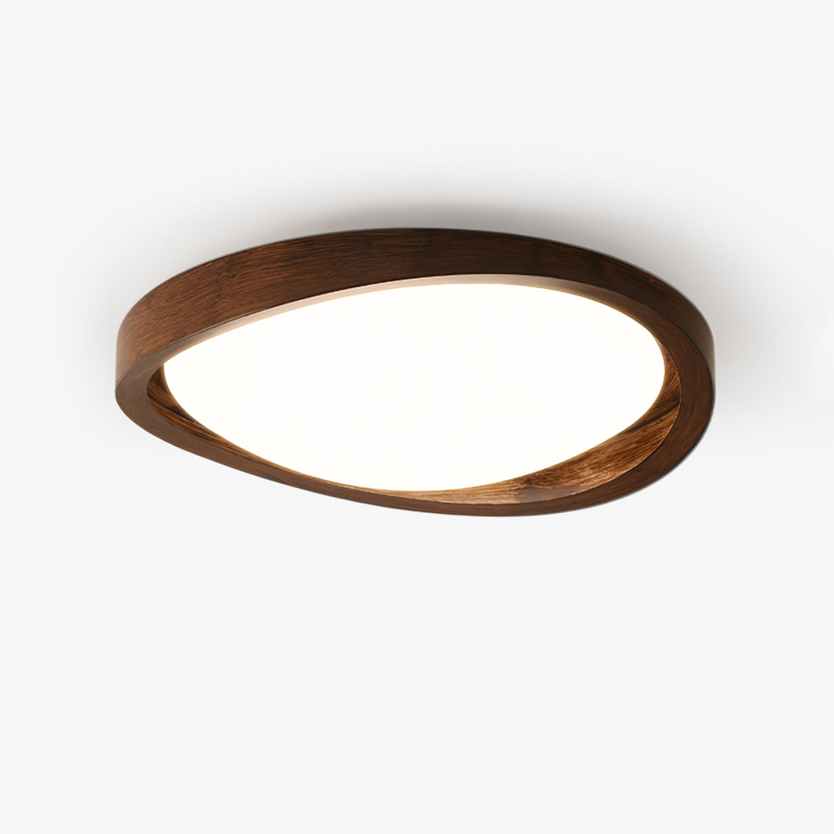 Sylvian Ceiling Light