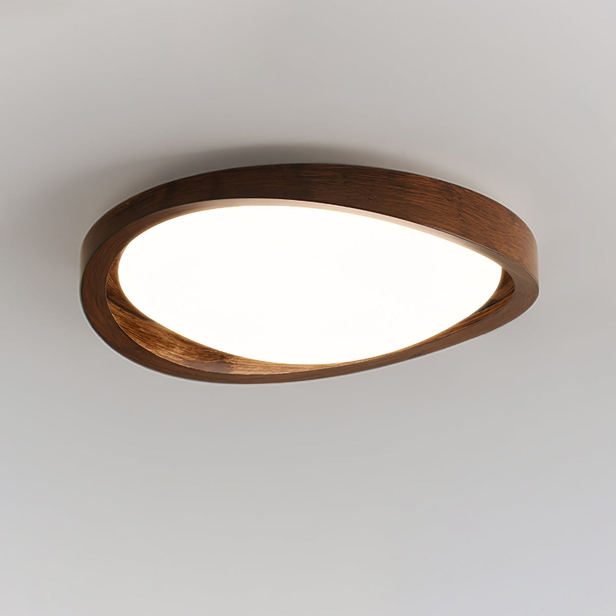 Sylvian Ceiling Light
