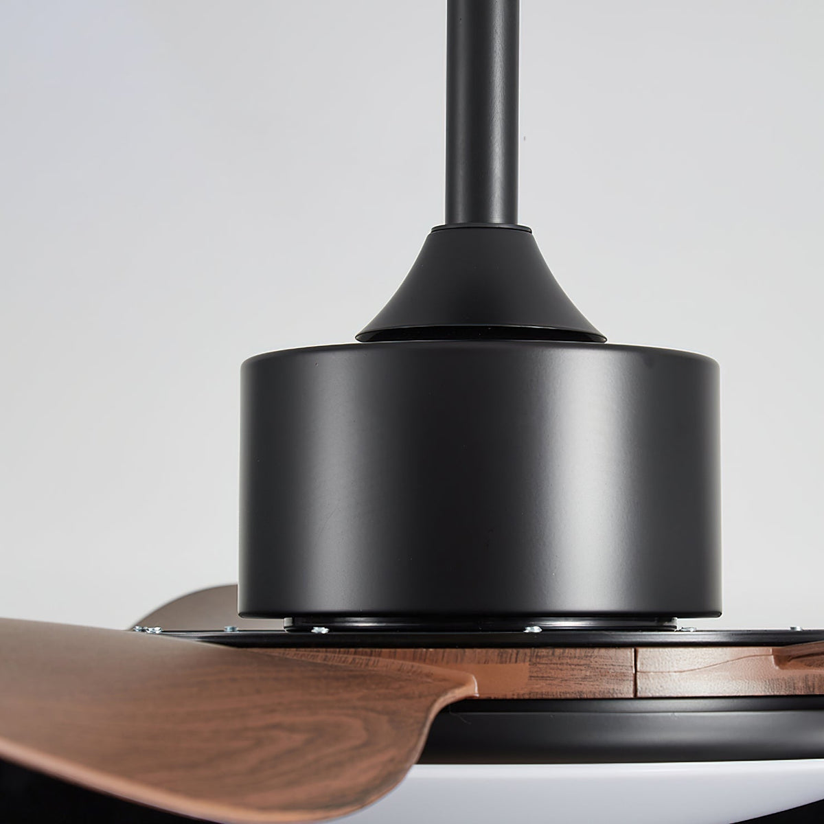 Rivivaine Ceiling Fan Light