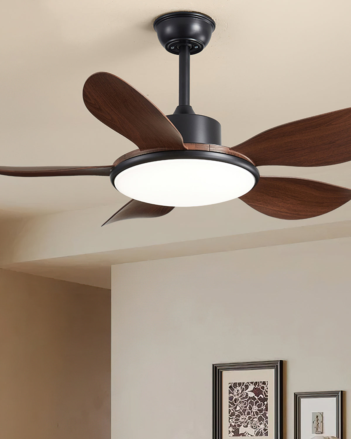 Rivivaine Ceiling Fan Light