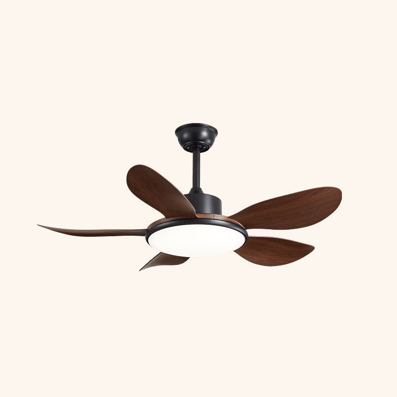 Rivivaine Ceiling Fan Light