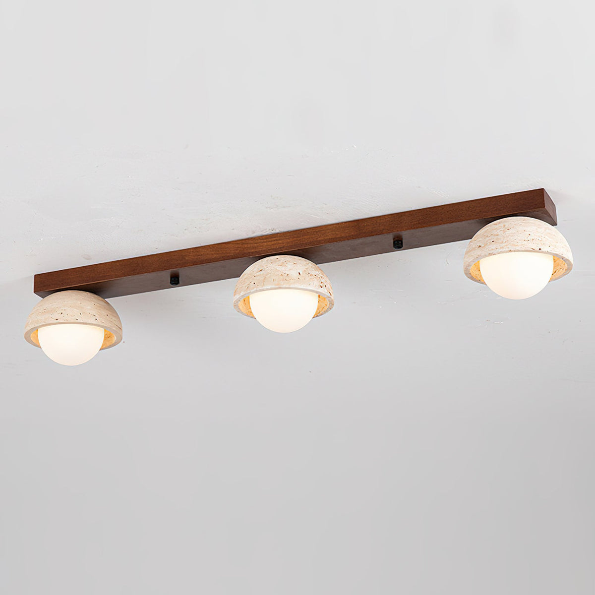 Palermo Combination Ceiling Light