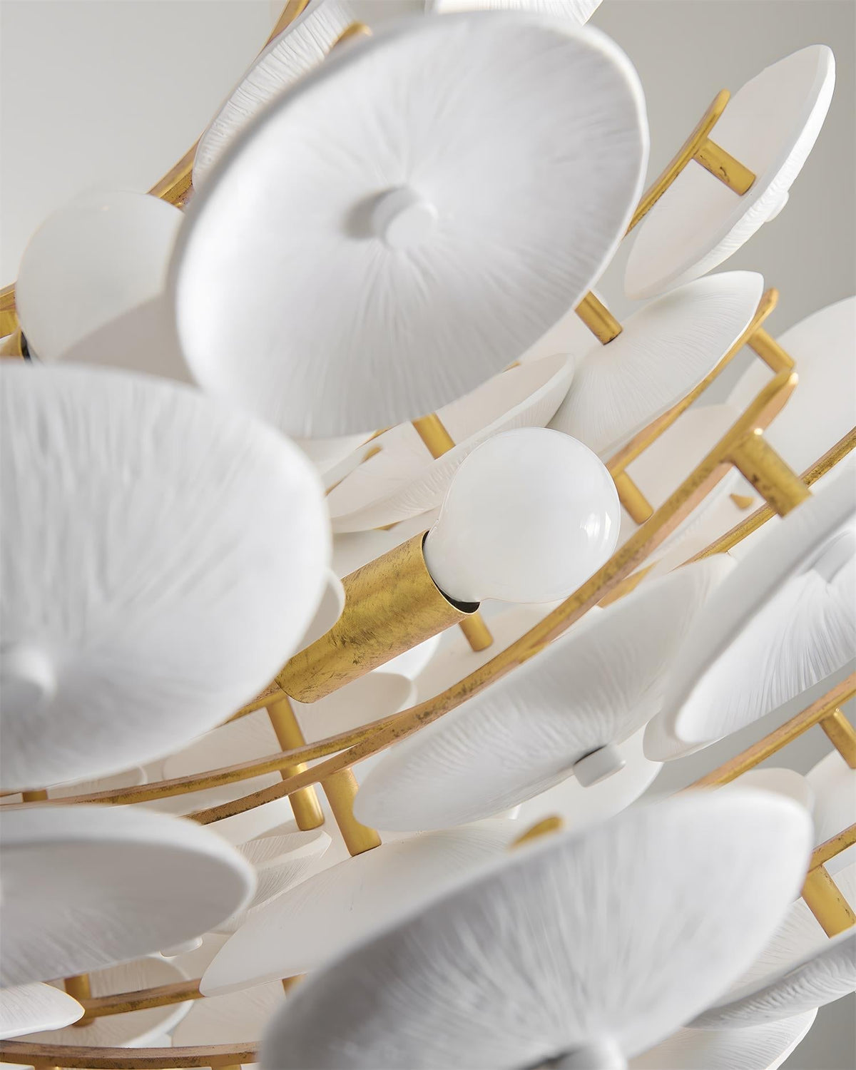 Ciruira Chandelier