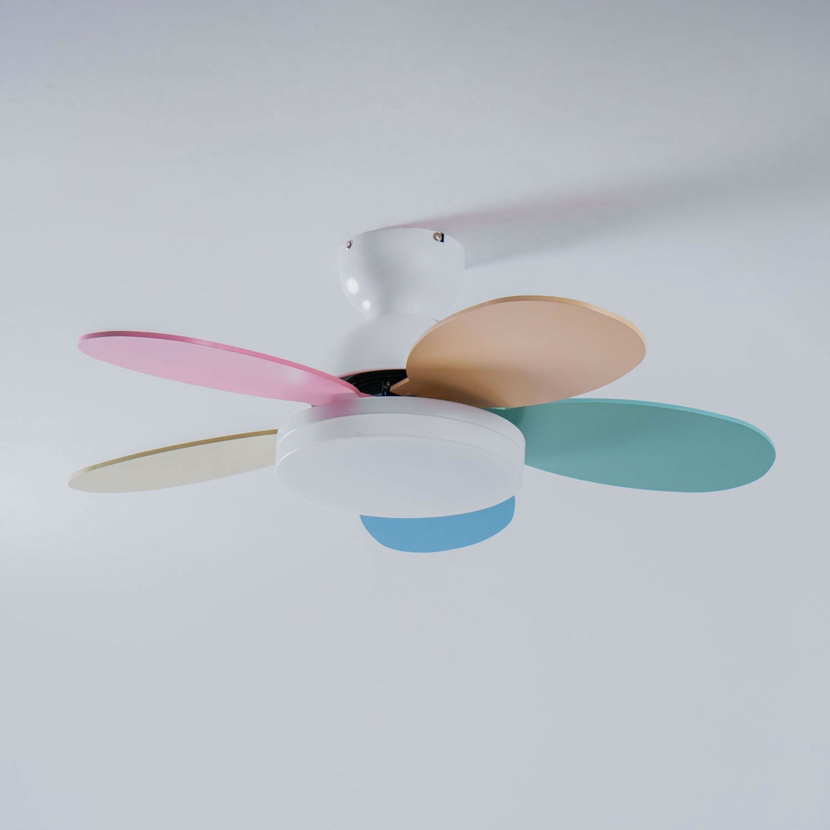 Norborne Wood Ceiling Fan Light